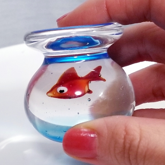 金魚鉢M-003 of 🫧金魚の硝子屋🫧