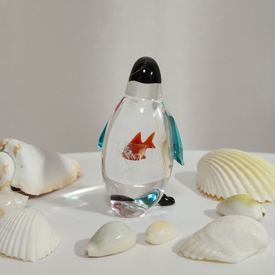 動物-022of🫧金魚の硝子屋🫧