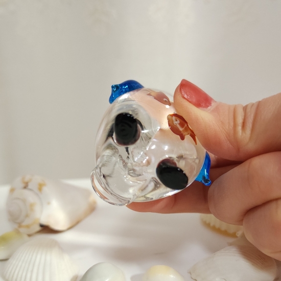 熱帯魚-001of🫧金魚の硝子屋🫧
