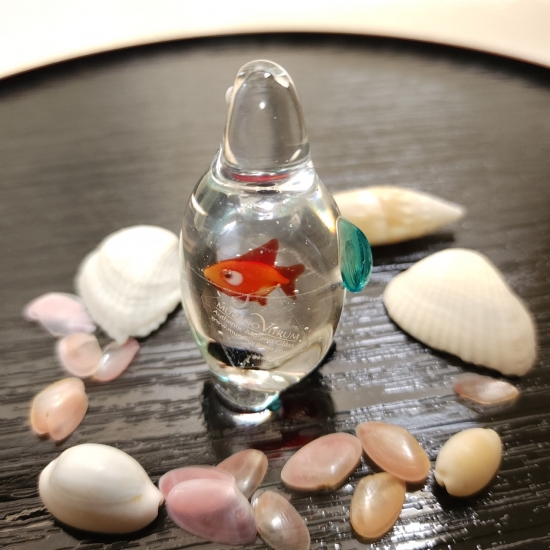 箱付新品 定価165,000円 フェニキアン技法のムラーノガラスのフクロウ 円形-008of🫧金魚の硝子屋🫧
