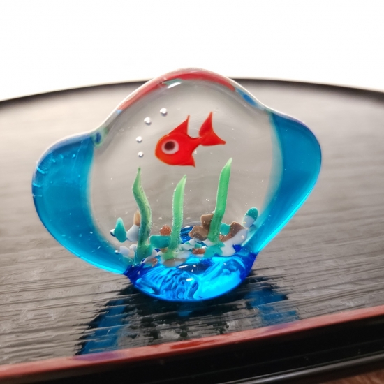 熱帯魚-010of🫧金魚の硝子屋🫧