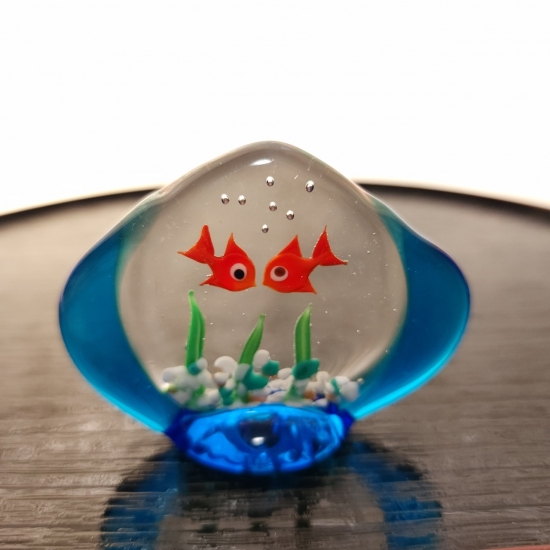 熱帯魚-011of🫧金魚の硝子屋🫧