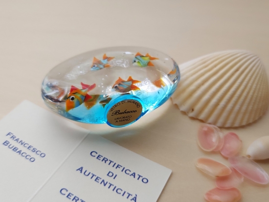 熱帯魚-012of🫧金魚の硝子屋🫧