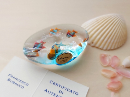 熱帯魚-013of🫧金魚の硝子屋🫧